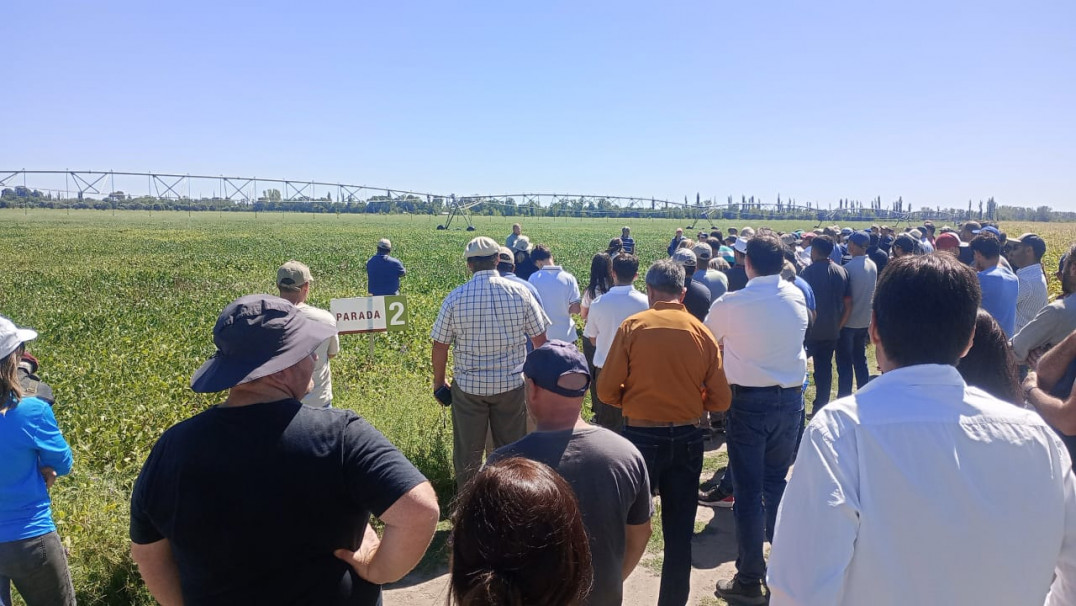 imagen Inscriben a la electiva "Sistemas de producción de forrajes" de la Cátedra Agricultura Especial