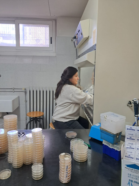 imagen Moving Italianness: una experiencia de cooperación internacional que fortalece la proyección académica de la FCA