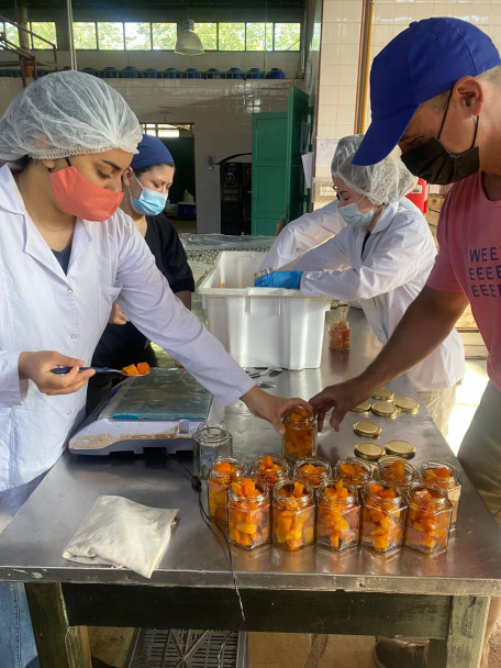 imagen ¿Por qué el Zapallo en Almíbar de la Facultad es único en el mercado de Mendoza?