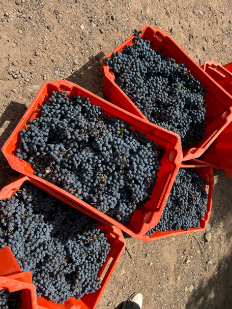 imagen Ciencias Agrarias reunió a referentes de la educación agropecuaria del país como sede del Primer Plenario de AUDEAS 2026