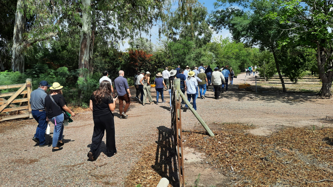 imagen Ciencias Agrarias reunió a referentes de la educación agropecuaria del país como sede del Primer Plenario de AUDEAS 2026