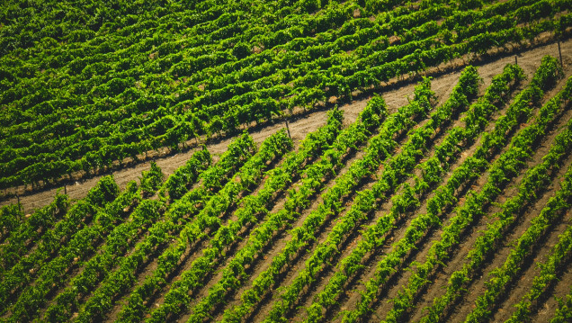 imagen Convocan a estudiantes para participar en un Proyecto Institucional Orientado de la Cátedra de Geomática