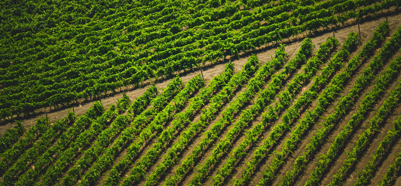 imagen Convocan a estudiantes para participar en un Proyecto Institucional Orientado de la Cátedra de Geomática