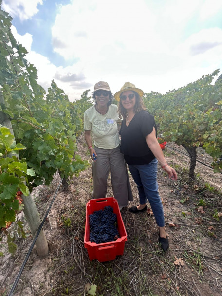 imagen Ciencias Agrarias reunió a referentes de la educación agropecuaria del país como sede del Primer Plenario de AUDEAS 2026