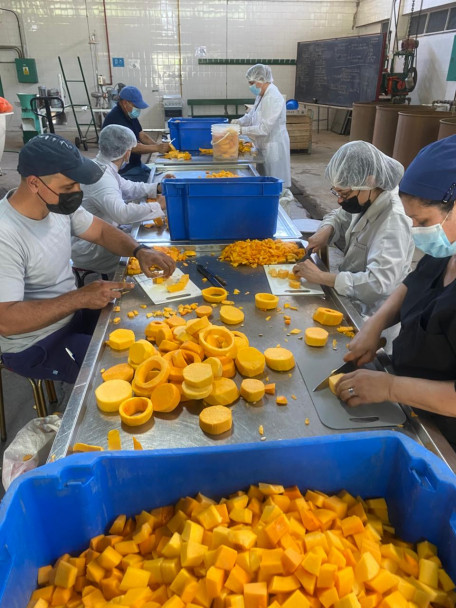 imagen ¿Por qué el Zapallo en Almíbar de la Facultad es único en el mercado de Mendoza?