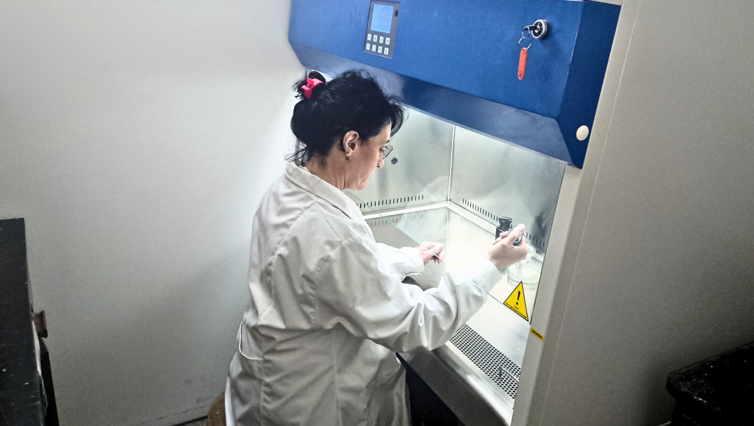 imagen Laboratorio de Análisis Fitopatológicos