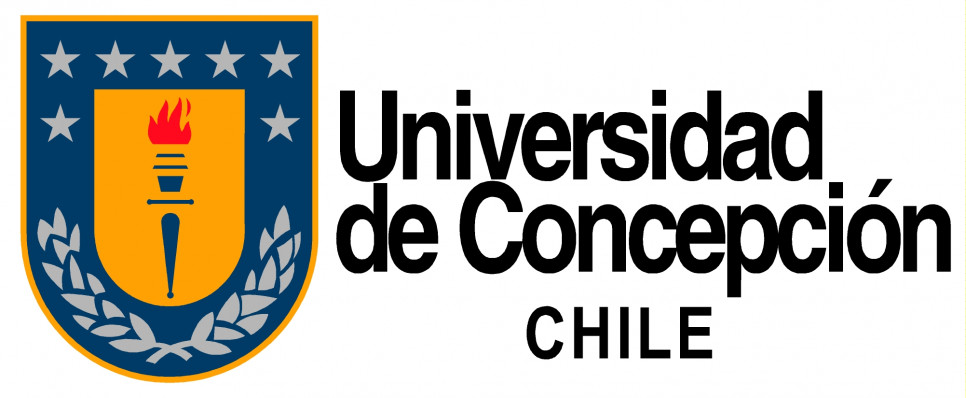 imagen Ofrecen beca de estancia corta en Chile para estudiantes
