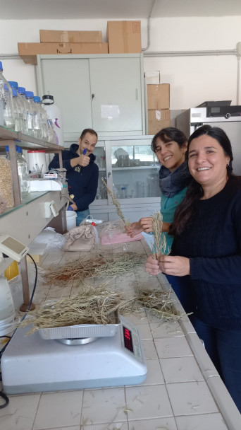 imagen Moving Italianness: una experiencia de cooperación internacional que fortalece la proyección académica de la FCA