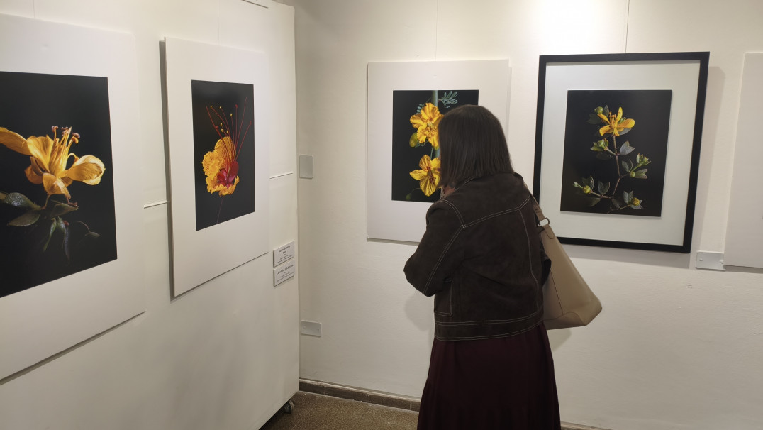 imagen "Floralia Silvestra": Raíces inauguró una muestra fotográfica dedicada a las flores