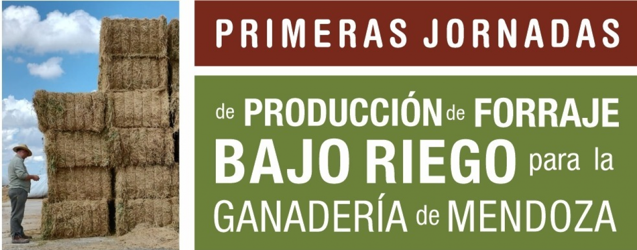 imagen Primeras jornadas de producción de forraje bajo riego para la ganadería de Mendoza