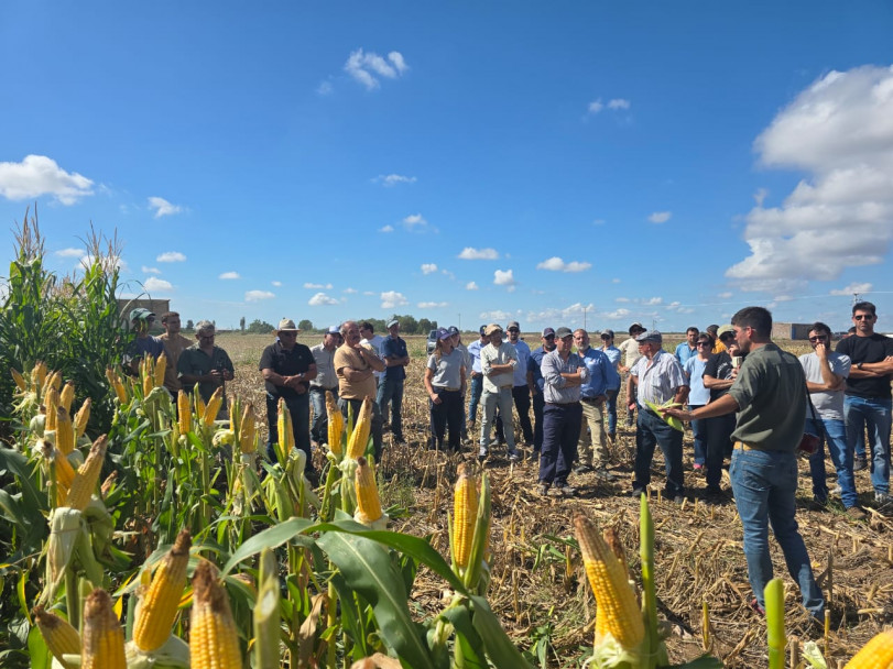 imagen Más de 160 asistentes en las III Jornadas de Producción de Forraje bajo riego en el Este provincial