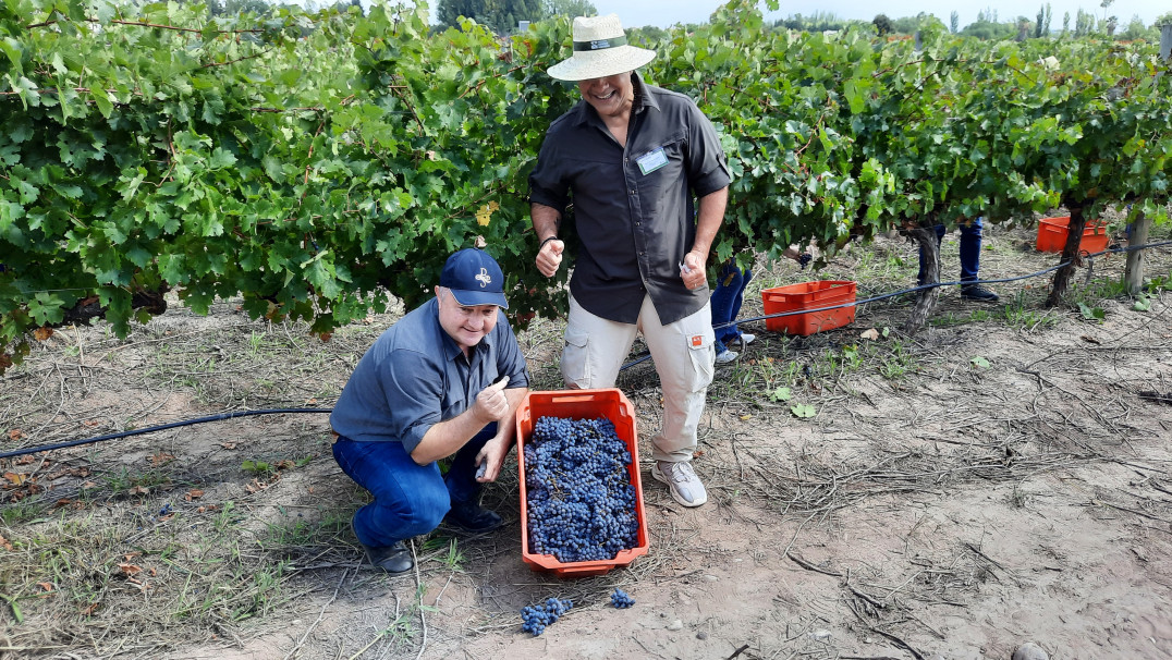 imagen Ciencias Agrarias reunió a referentes de la educación agropecuaria del país como sede del Primer Plenario de AUDEAS 2026