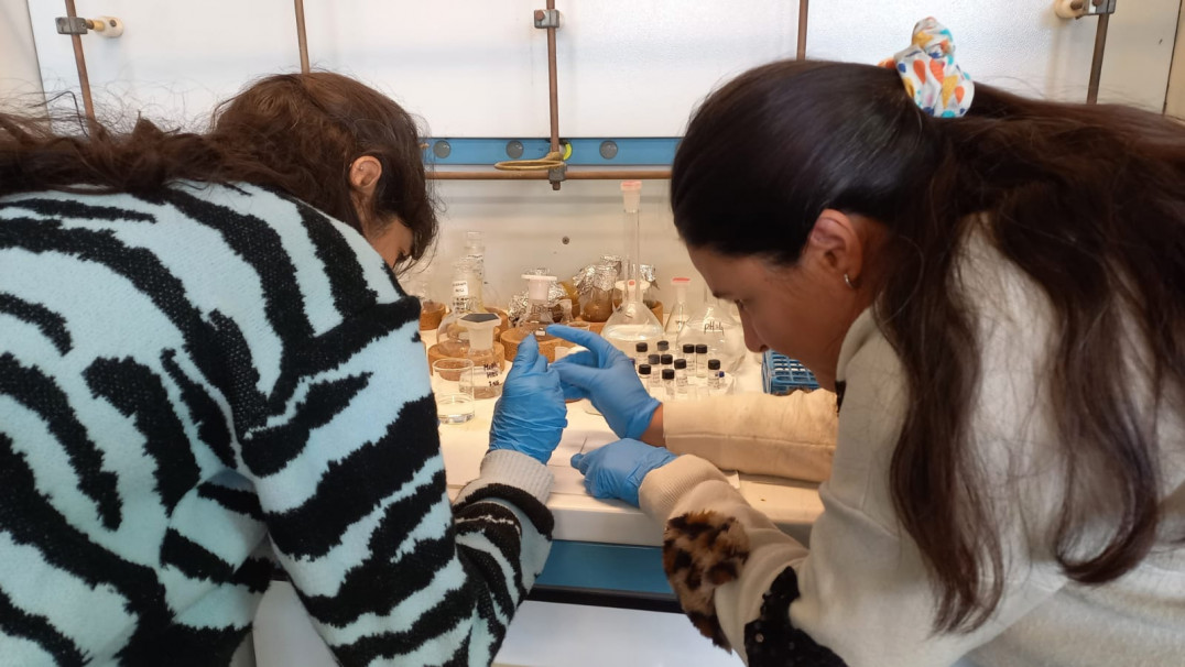 imagen Moving Italianness: una experiencia de cooperación internacional que fortalece la proyección académica de la FCA