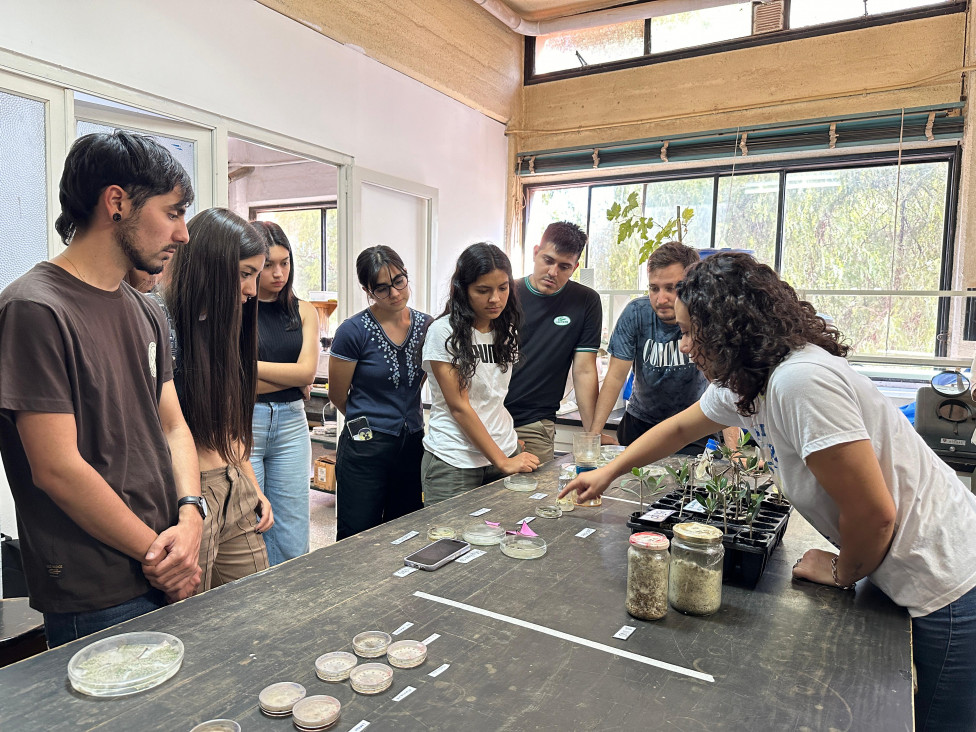 imagen Más de 40 estudiantes participaron en "Viviendo la ciencia: una tarde en el laboratorio"