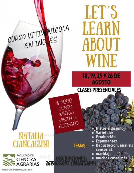 imagen Curso vitivinícola en inglés   