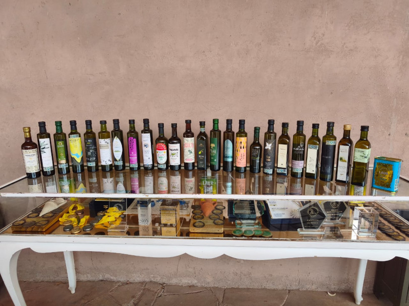 imagen Aceites de Oliva elaborados en la facultad obtuvieron certificación IG