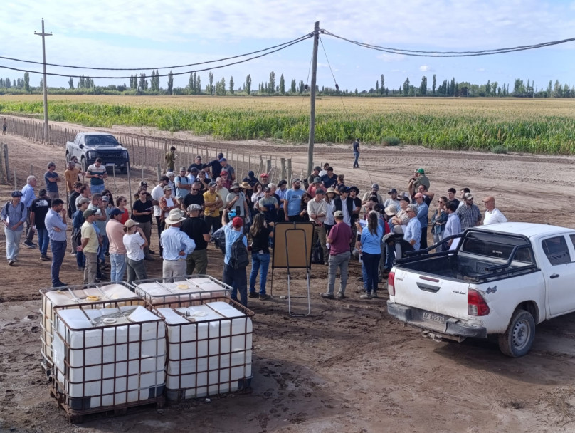 imagen Más de 160 asistentes en las III Jornadas de Producción de Forraje bajo riego en el Este provincial