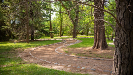 imagen El único Jardín Botánico de Mendoza abre sus puertas a toda la comunidad