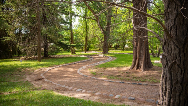imagen El único Jardín Botánico de Mendoza abre sus puertas a toda la comunidad