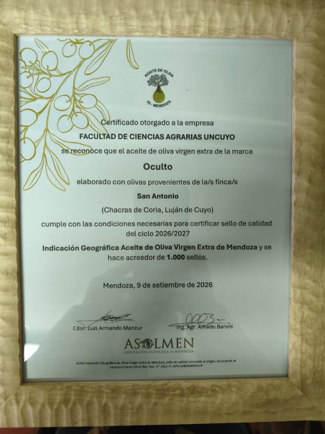 imagen Aceites de Oliva elaborados en la facultad obtuvieron certificación IG