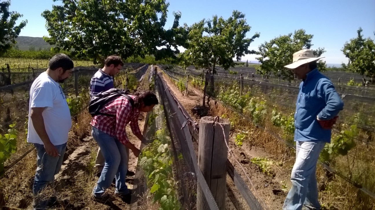 imagen Invitan a Conversatorio "Pensando la Extensión Rural en tiempos de pandemia"