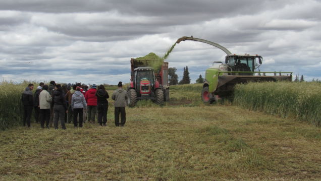imagen Llamado a cobertura de cargo efectivo de la Cátedra de Agricultura Especial