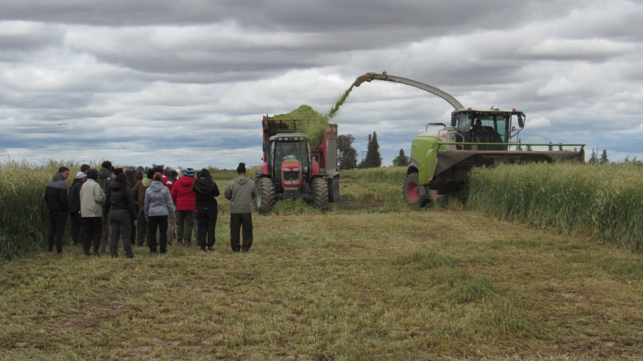 imagen Llamado a cobertura de cargo efectivo de la Cátedra de Agricultura Especial