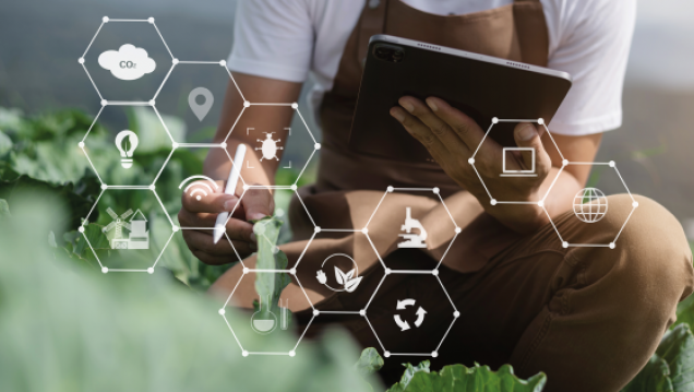 imagen Abren las inscripciones para el Diplomado en Innovación Agroalimentaria