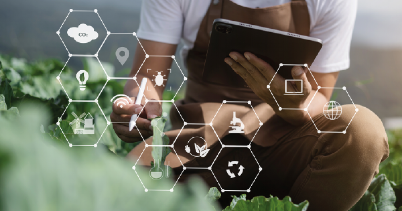 imagen Abren las inscripciones para el Diplomado en Innovación Agroalimentaria