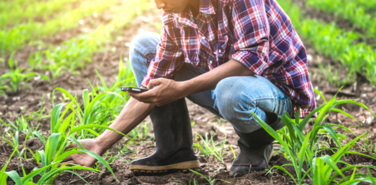 imagen Ciencias Agrarias realizó el Primer Congreso de Ingenieros Agrónomos