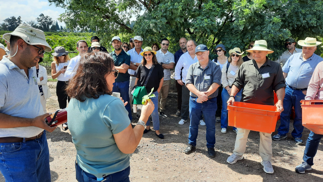 imagen Ciencias Agrarias reunió a referentes de la educación agropecuaria del país como sede del Primer Plenario de AUDEAS 2026