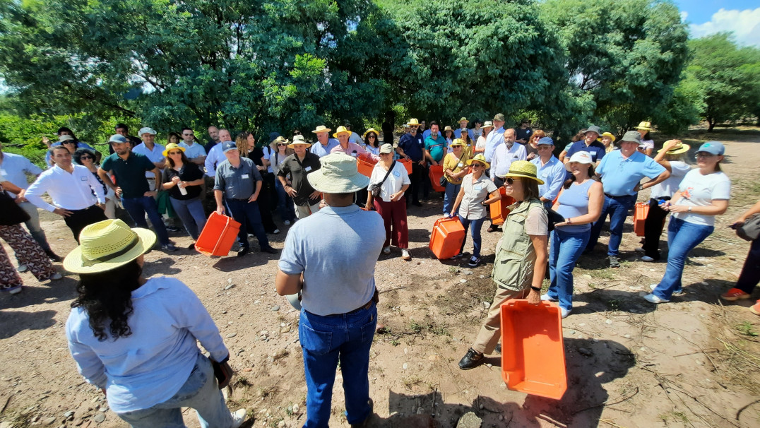 imagen Ciencias Agrarias reunió a referentes de la educación agropecuaria del país como sede del Primer Plenario de AUDEAS 2026