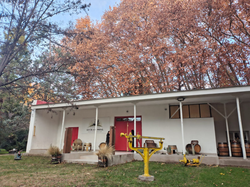 imagen La Escuela de Encargados de Finca dio inicio a su quinta edición en Tupungato
