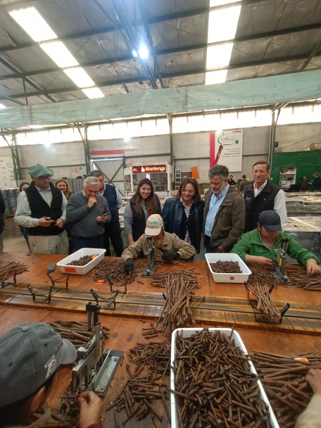 imagen Ciencias Agrarias y Vivero Mercier refuerzan vínculos con una visita institucional