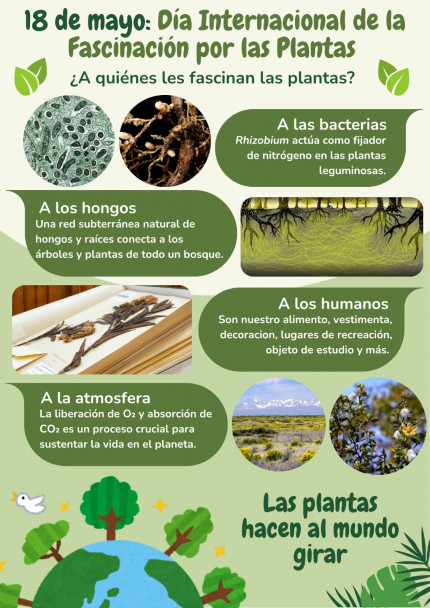 imagen Día Internacional de la Fascinación por las Plantas