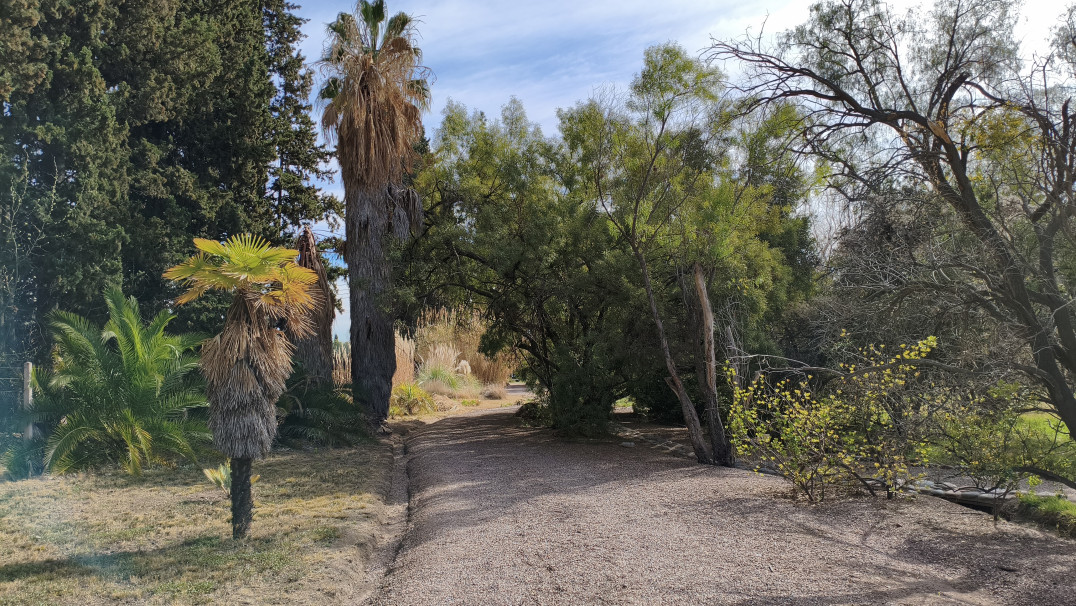 imagen El único Jardín Botánico de Mendoza abre sus puertas a toda la comunidad