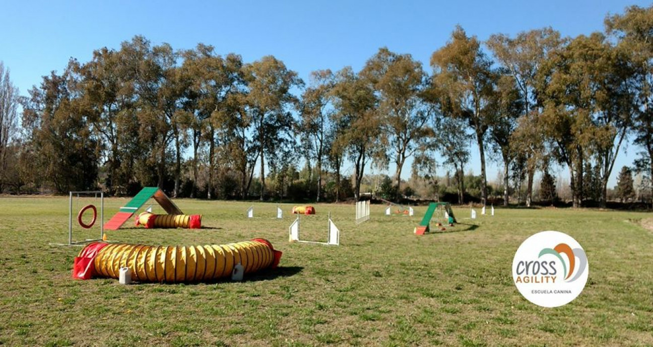 imagen Realizaron charla virtual sobre "Cross Agility"entrenamiento deportivo con perros