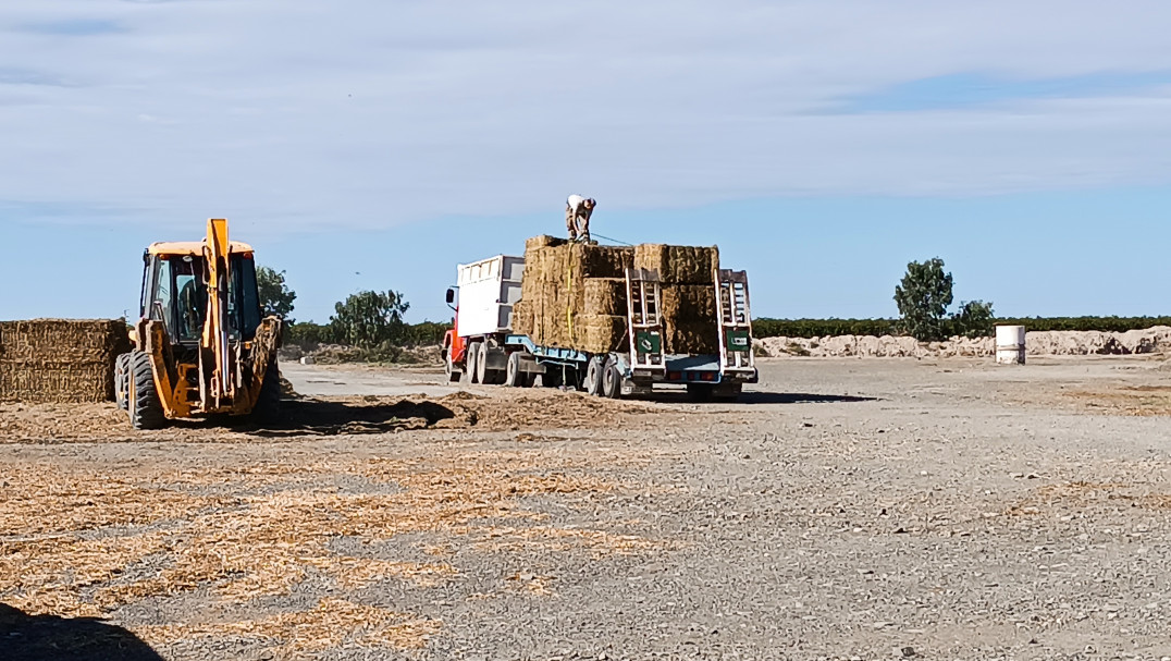 imagen Se realizaron las primeras "Jornadas de producción de forrajes bajo riego para la ganadería de Mendoza"