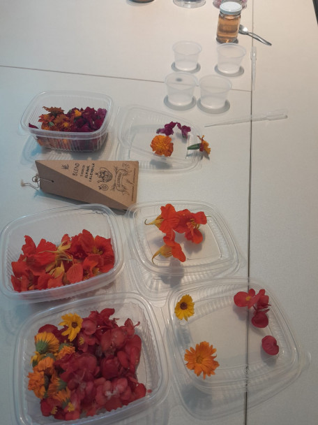 imagen Ciencias Agrarias y el INTA participaron del Seminario de Flores Comestibles en AEHGA