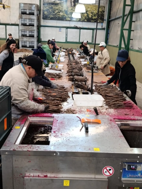 imagen Ciencias Agrarias y Vivero Mercier refuerzan vínculos con una visita institucional