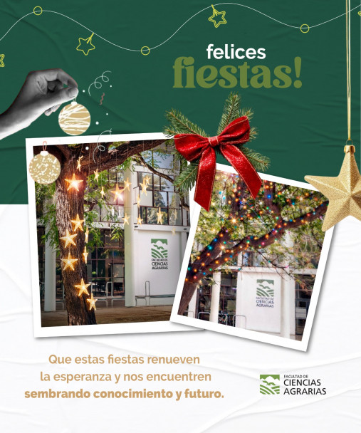 imagen ¡Felices Fiestas!