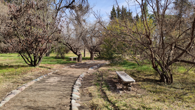 imagen El único Jardín Botánico de Mendoza abre sus puertas a toda la comunidad