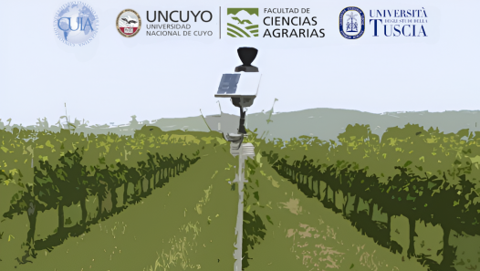 imagen Se realizará en Ciencias Agrarias el Workshop titulado "Innovaciones en el Manejo del Viñedo desde una Perspectiva Agroecológica"