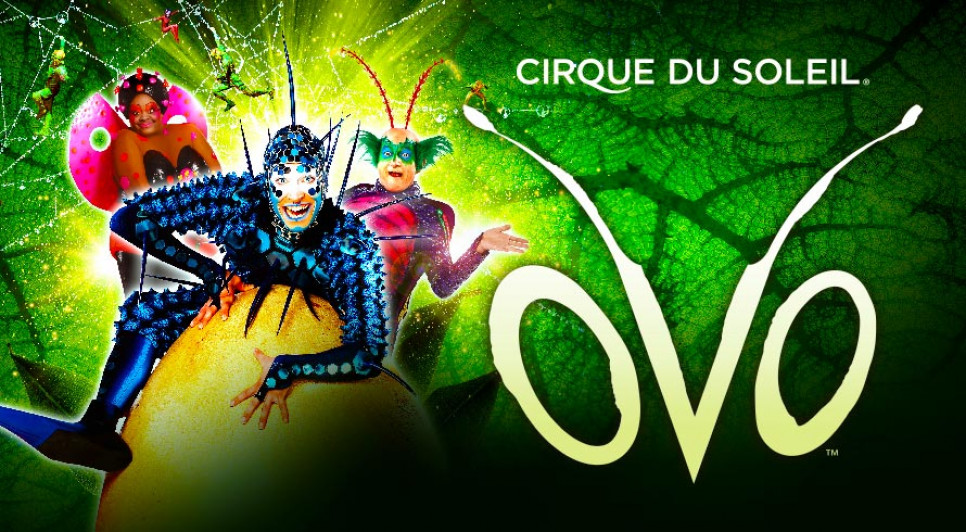 imagen El Cirque du Soleil invita a la comunidad de la UNCUYO a ver "OVO" a precios rebajados