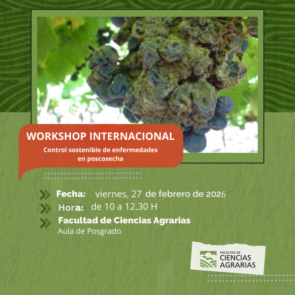 imagen Workshop internacional