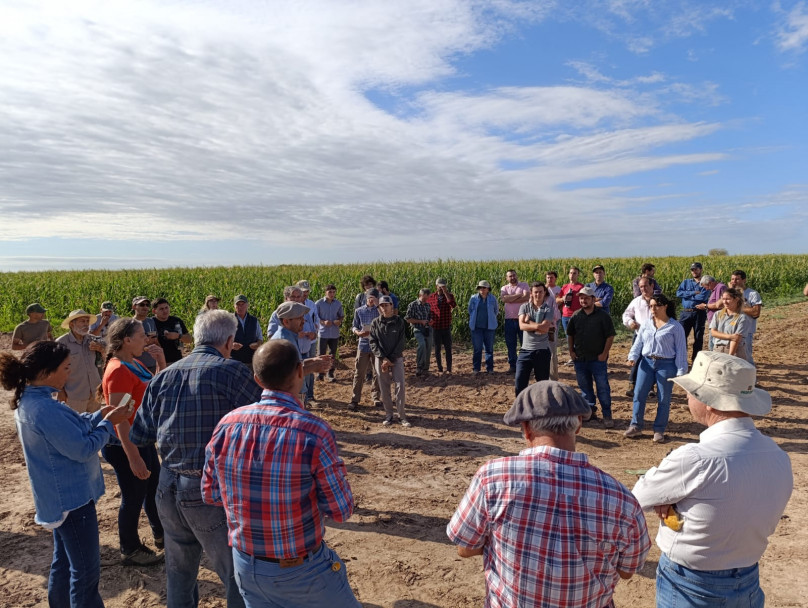 imagen Inscriben a la electiva "Sistemas de producción de forrajes" de la Cátedra Agricultura Especial