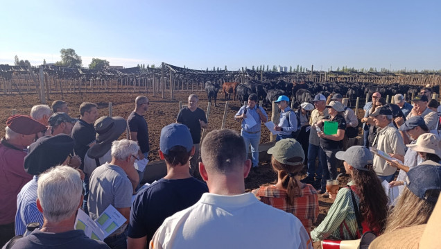 imagen Más de 160 asistentes en las III Jornadas de Producción de Forraje bajo riego en el Este provincial