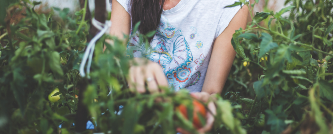 imagen Explorando desafíos y celebrando logros: Conversatorio de Mujeres en las Ciencias Agrarias