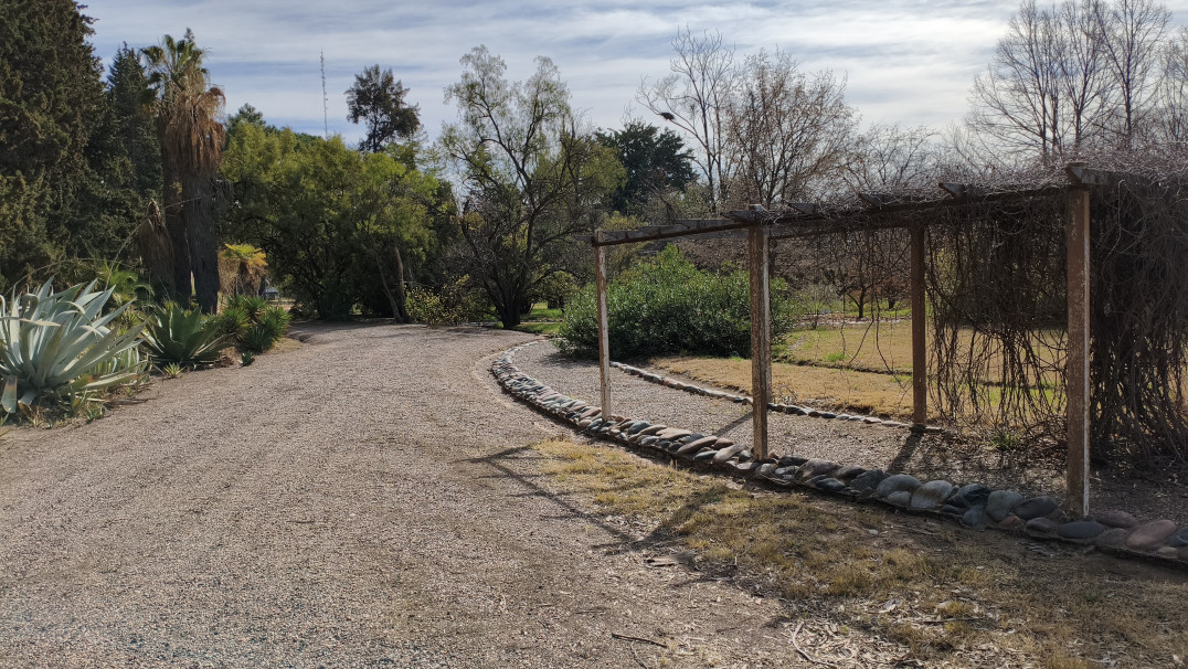 imagen El único Jardín Botánico de Mendoza abre sus puertas a toda la comunidad