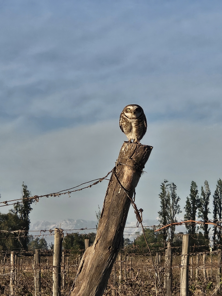 imagen Resultados del Concurso de Fotografía FCA 2024